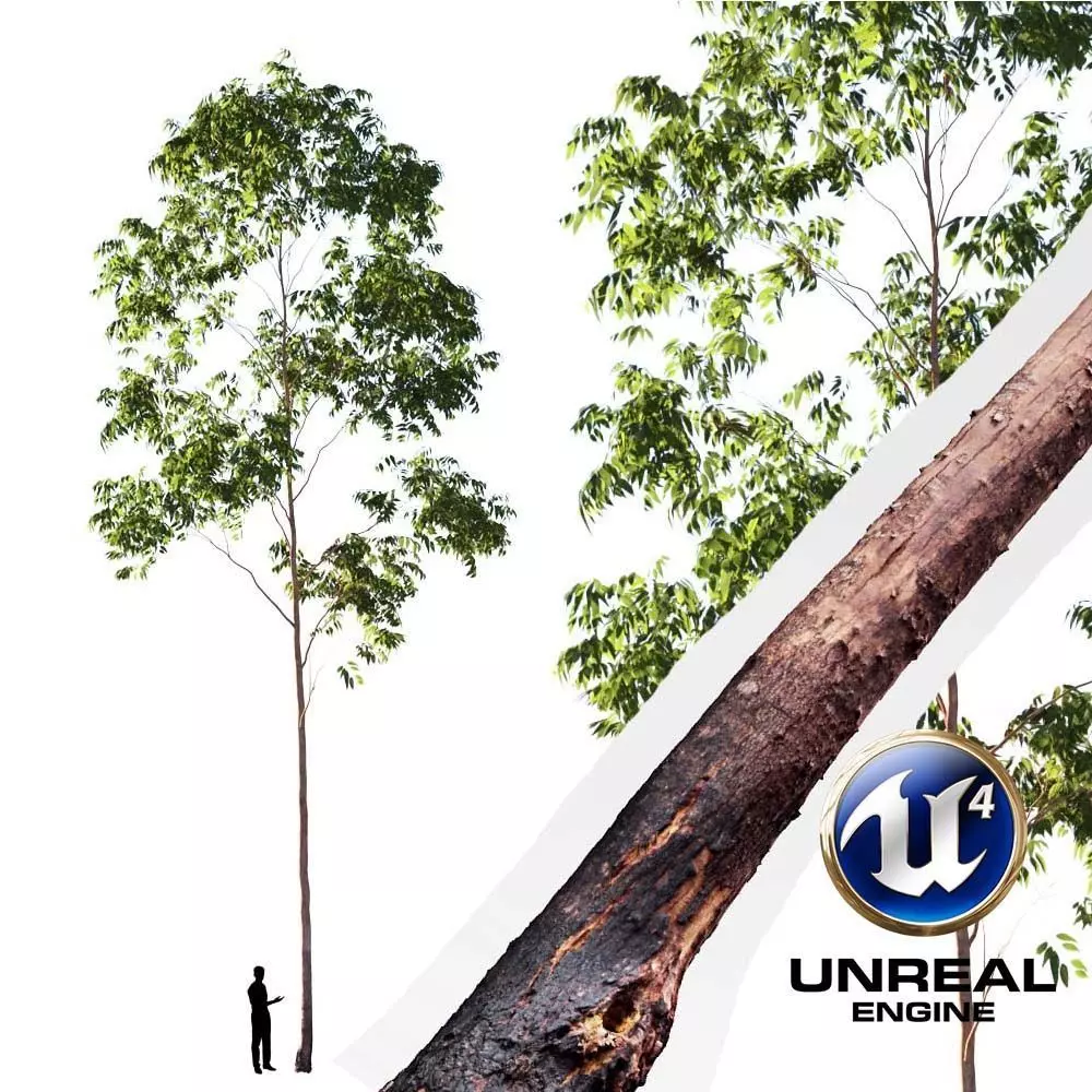 Realistic Tree 02- UE4 Asset and FBX Files Low-poly 3D model Low-poly 3D model_0