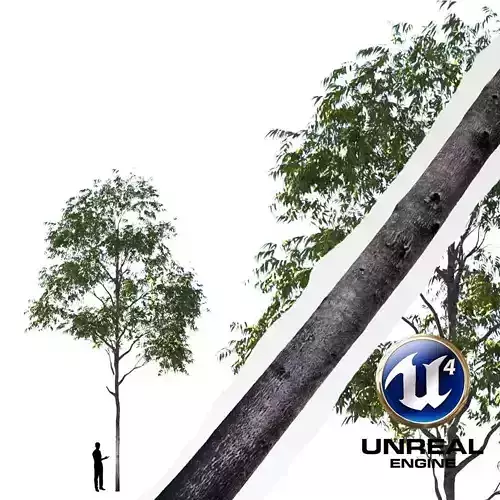 Realistic Tree 04- UE4 Asset and FBX Files Low-poly 3D model Low-poly 3D model