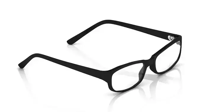 Eyeglasses for Men and Women 3D print model