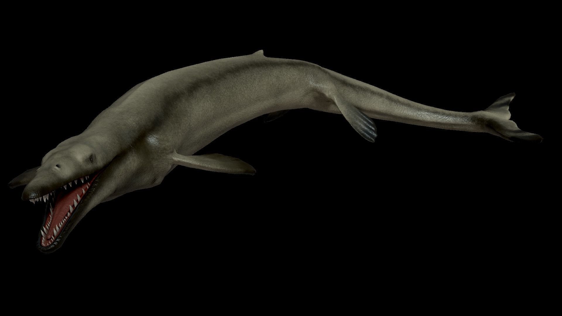 Basilosaurus Asset Pack Low-poly 3D model_5