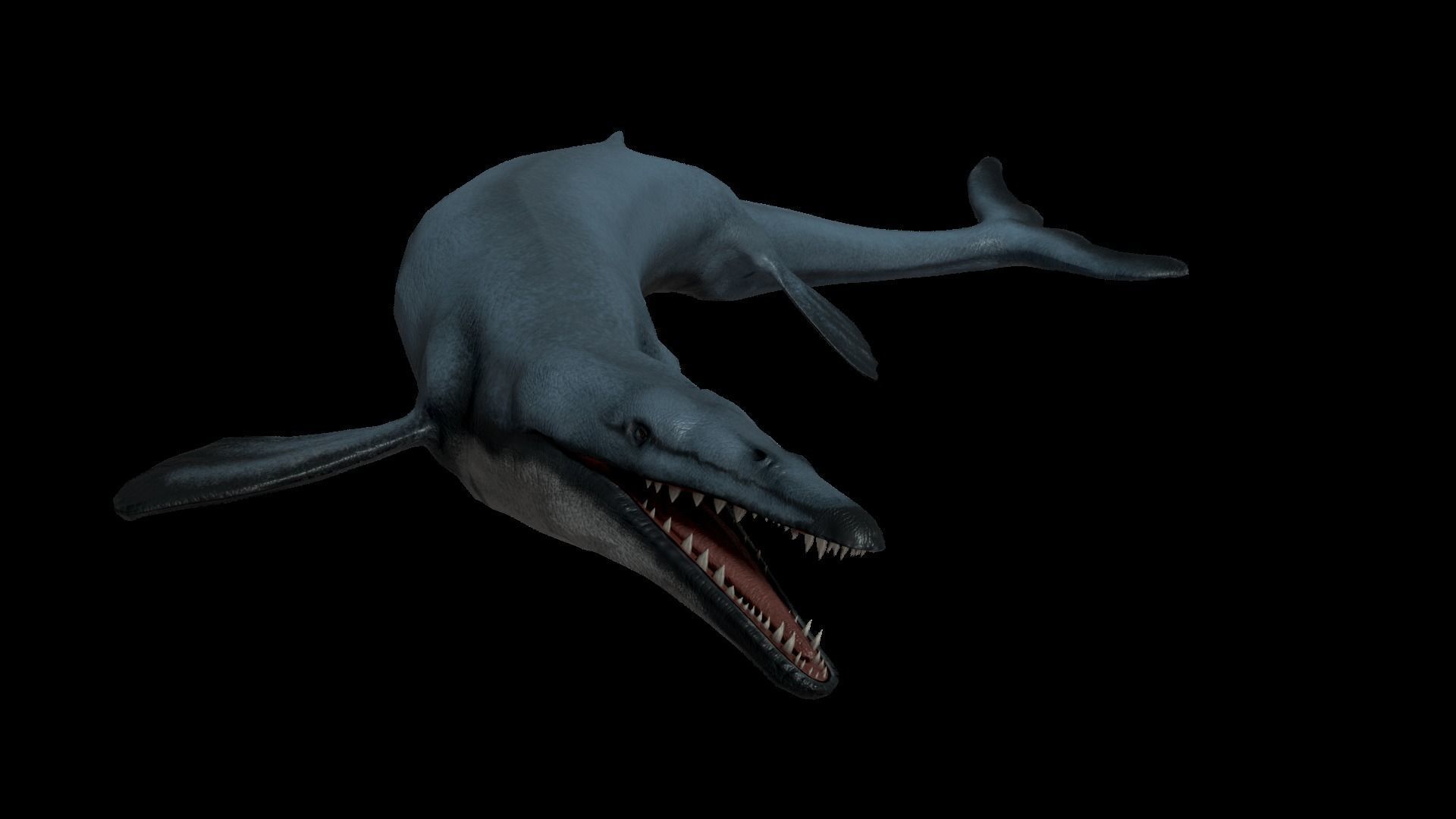Basilosaurus Asset Pack Low-poly 3D model_2