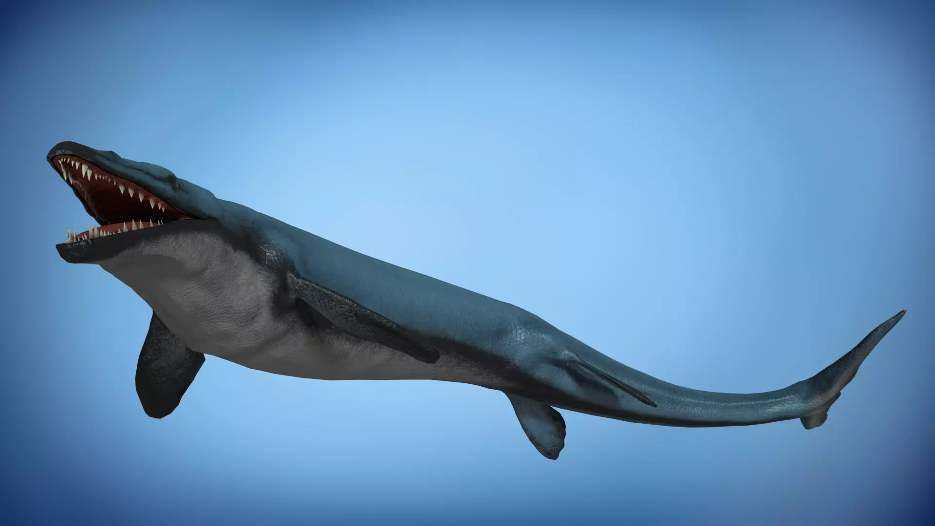 Basilosaurus Asset Pack Low-poly 3D model_0
