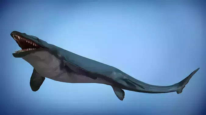 Basilosaurus Asset Pack Low-poly 3D model