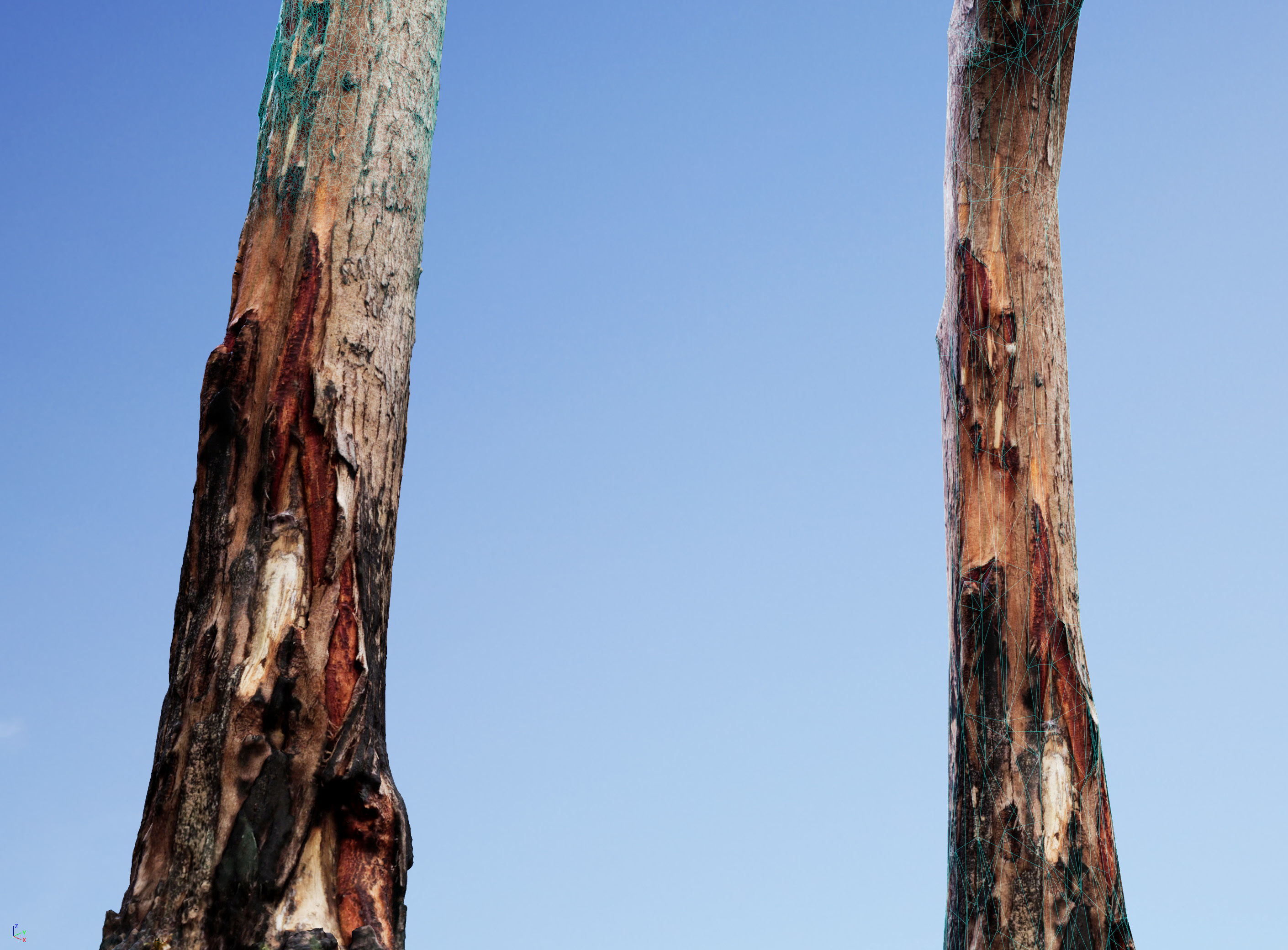 Realistic Tree 05- UE4 Asset and FBX Files Low-poly 3D model Low-poly 3D model_4