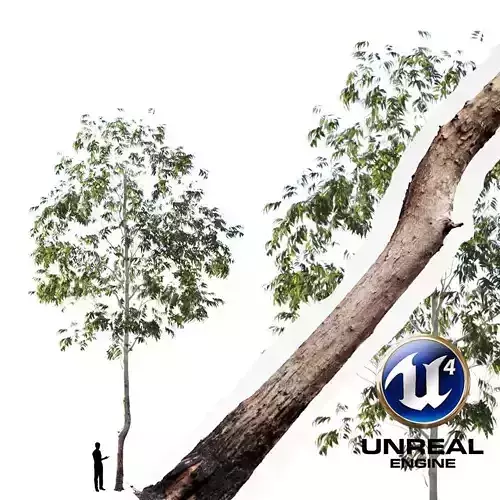 Realistic Tree 05- UE4 Asset and FBX Files Low-poly 3D model