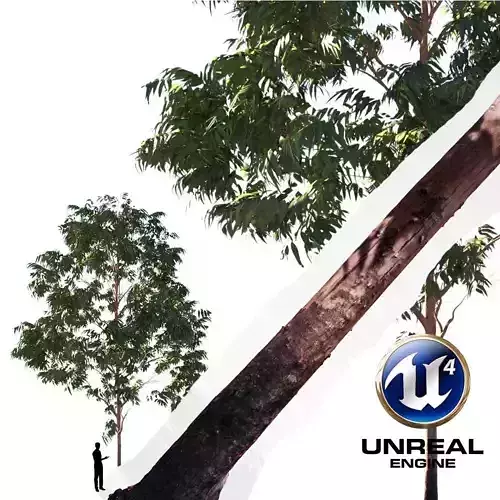 Realistic Tree 06- UE4 Asset and FBX Files Low-poly 3D model