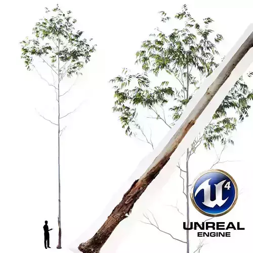 Realistic Tree 07- UE4 Asset and FBX Files Low-poly 3D model