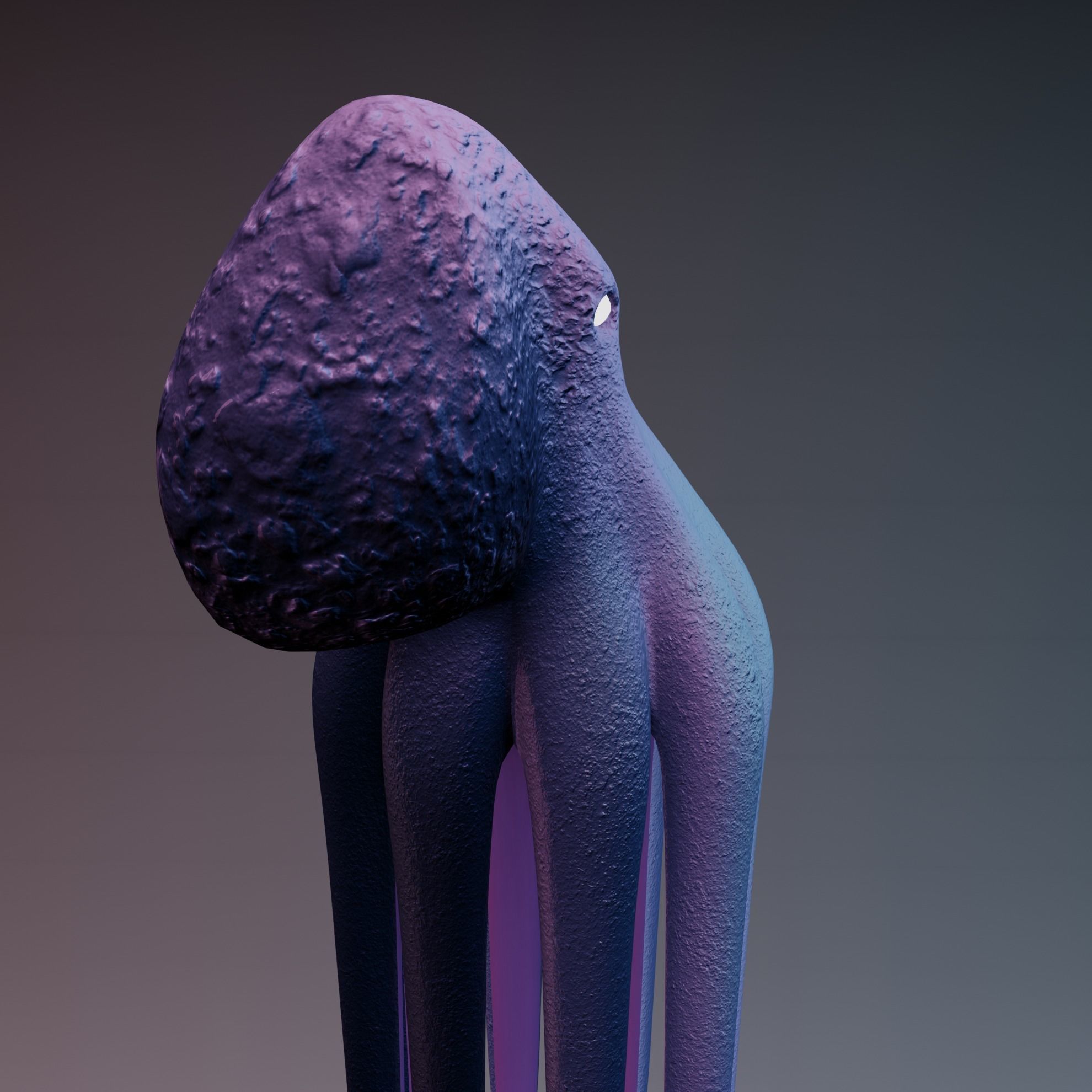 Octopus Low-poly 3D model_34