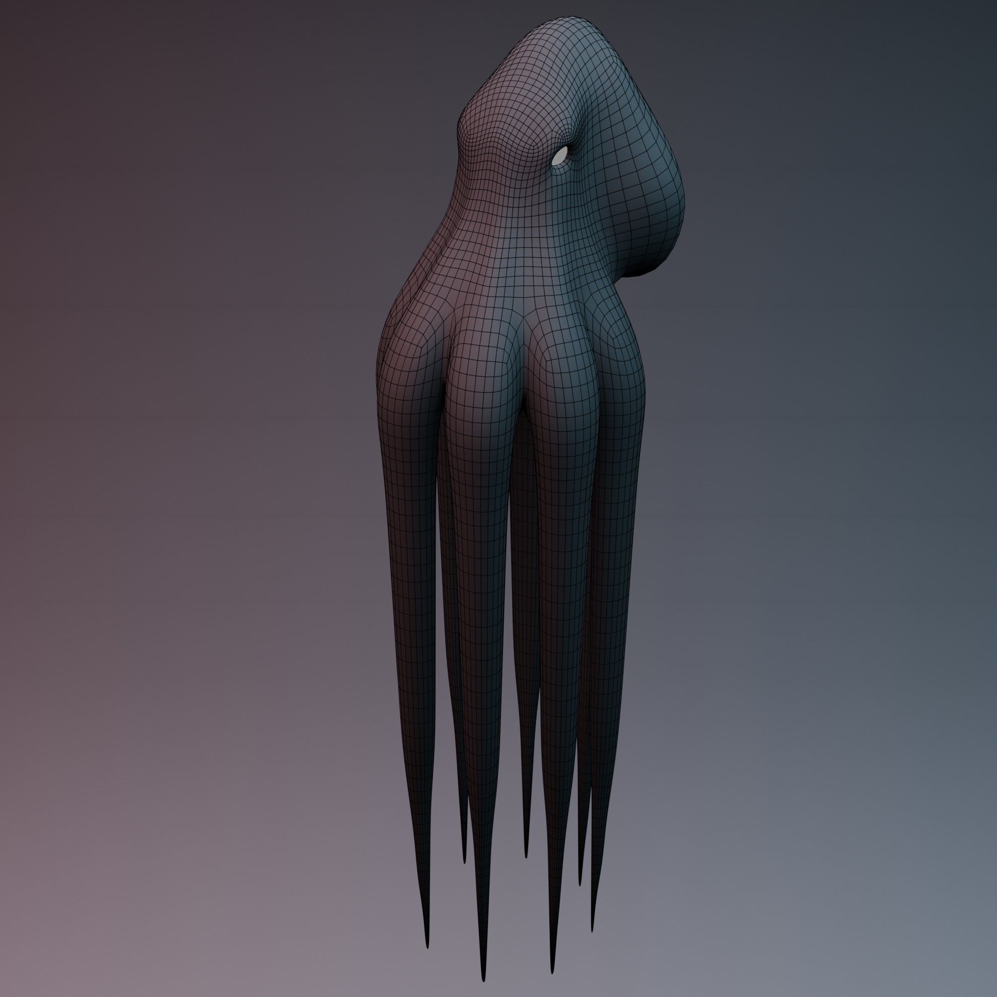 Octopus Low-poly 3D model_22