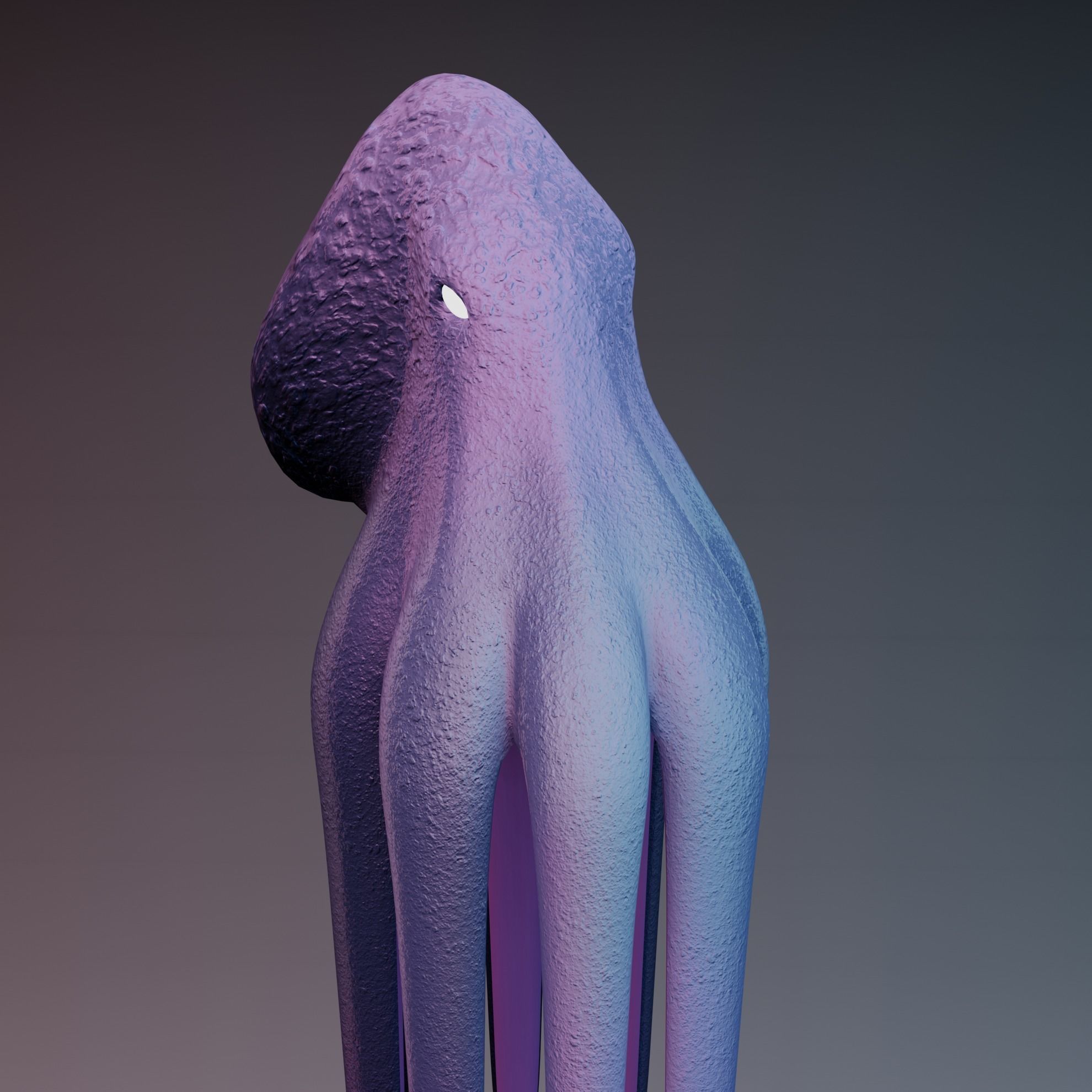 Octopus Low-poly 3D model_29