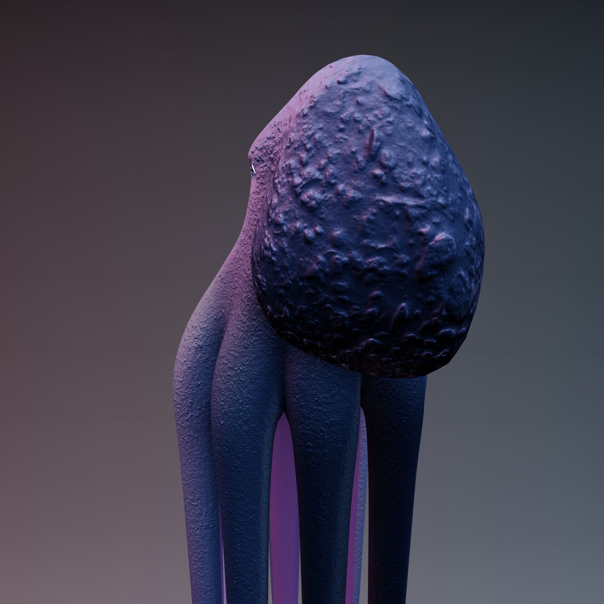 Octopus Low-poly 3D model_39