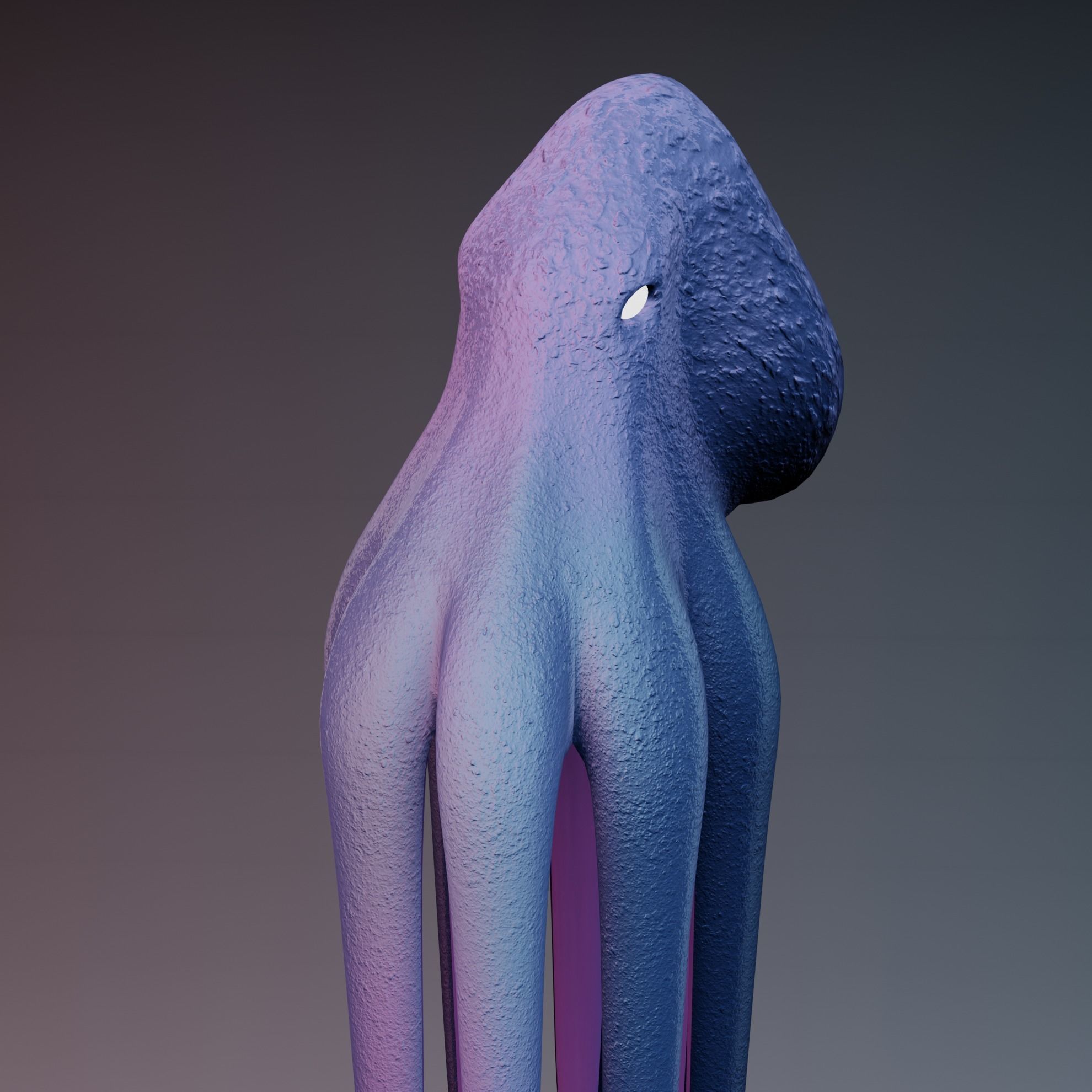 Octopus Low-poly 3D model_45