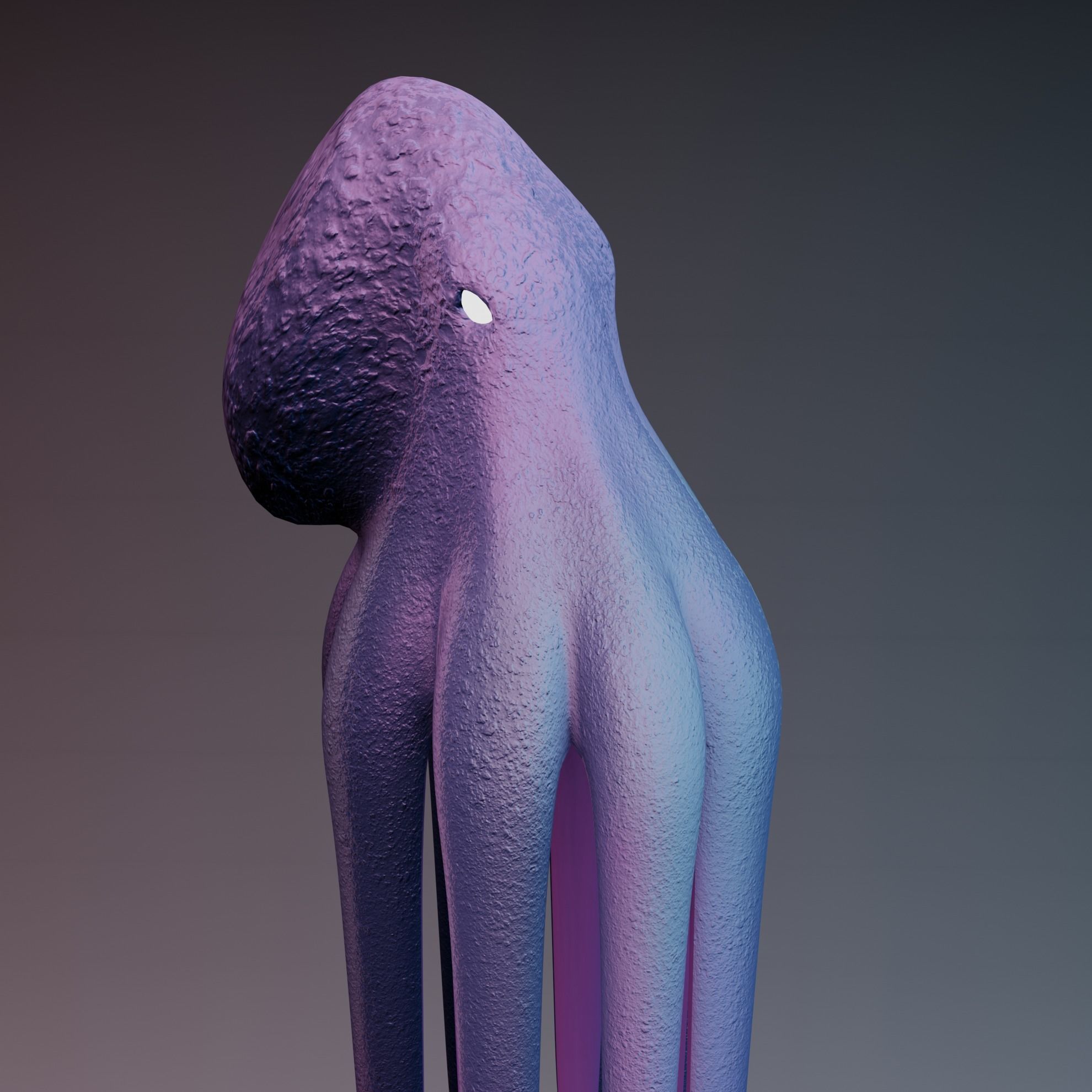 Octopus Low-poly 3D model_30