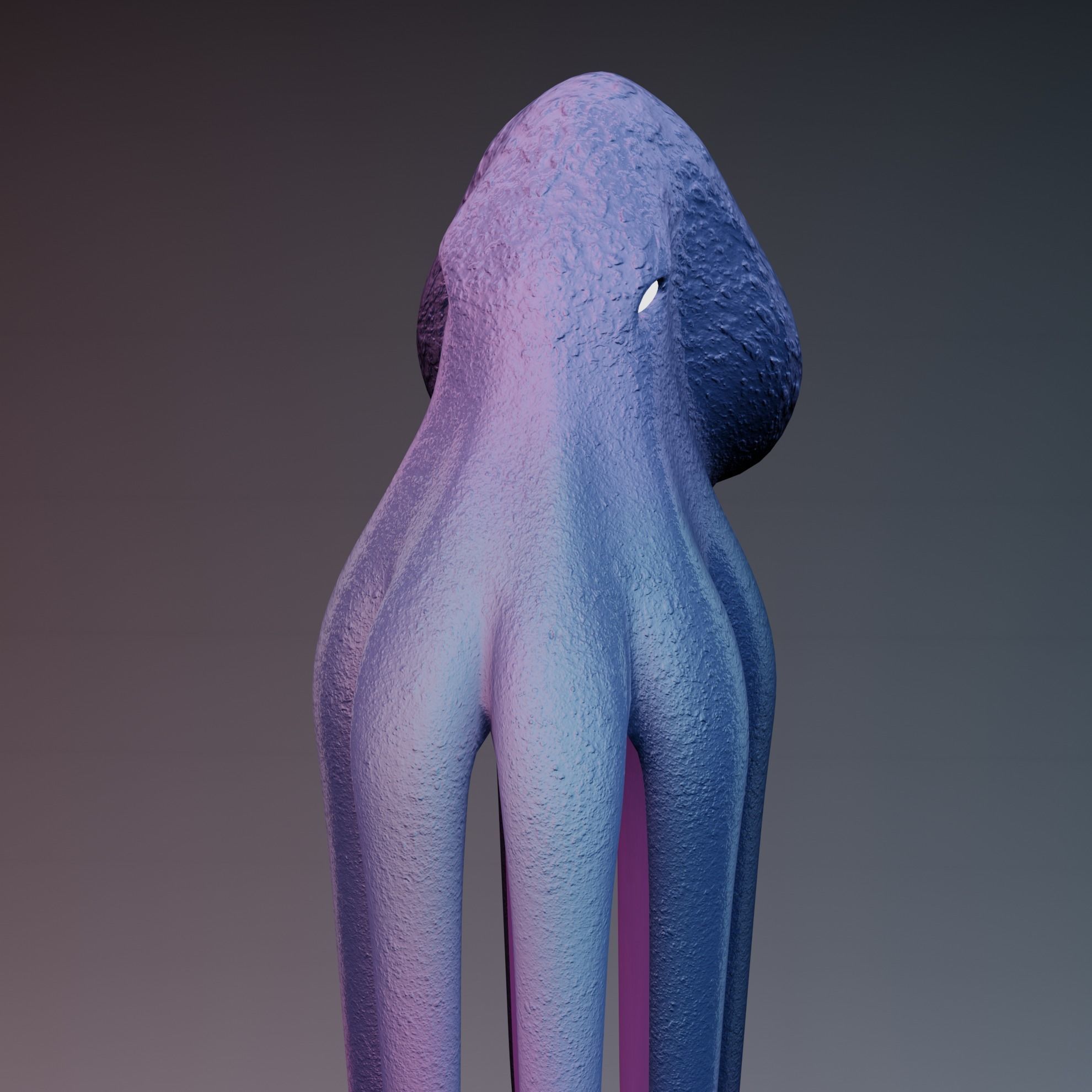 Octopus Low-poly 3D model_46