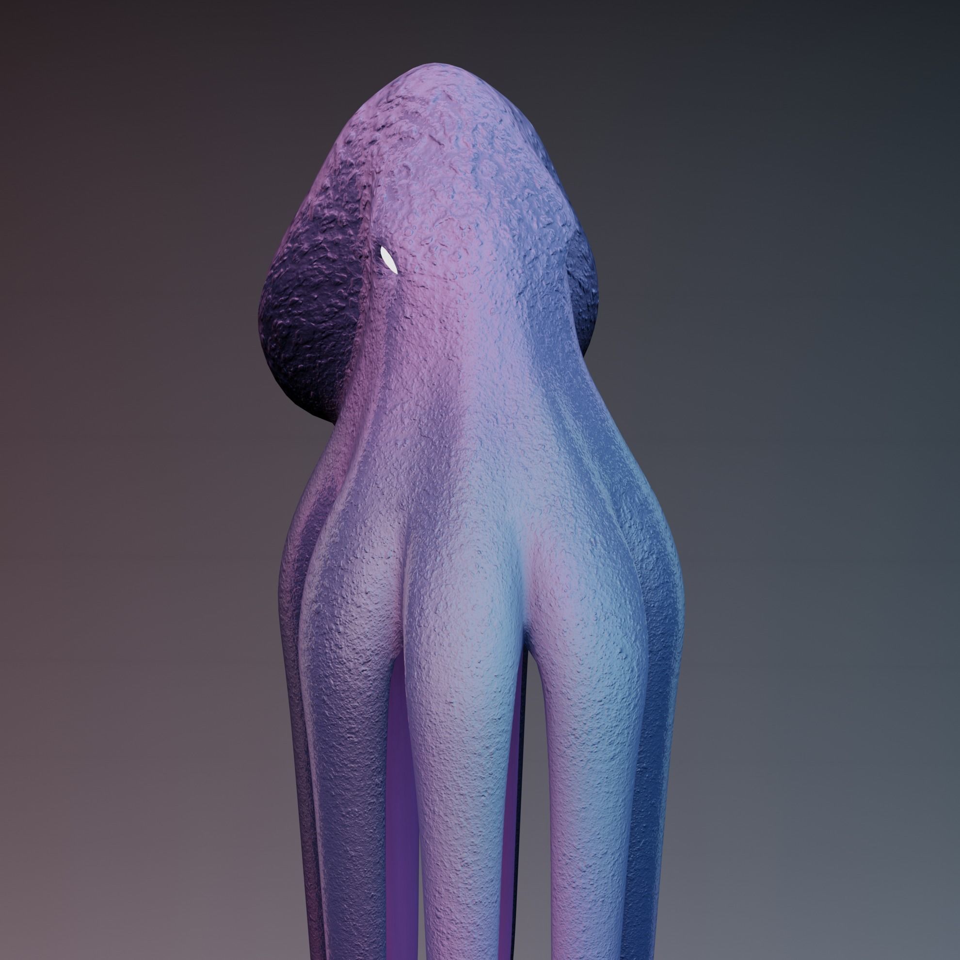 Octopus Low-poly 3D model_28