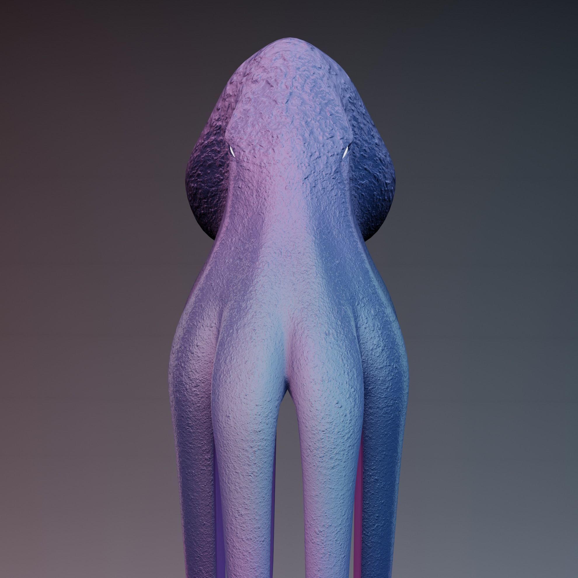 Octopus Low-poly 3D model_47