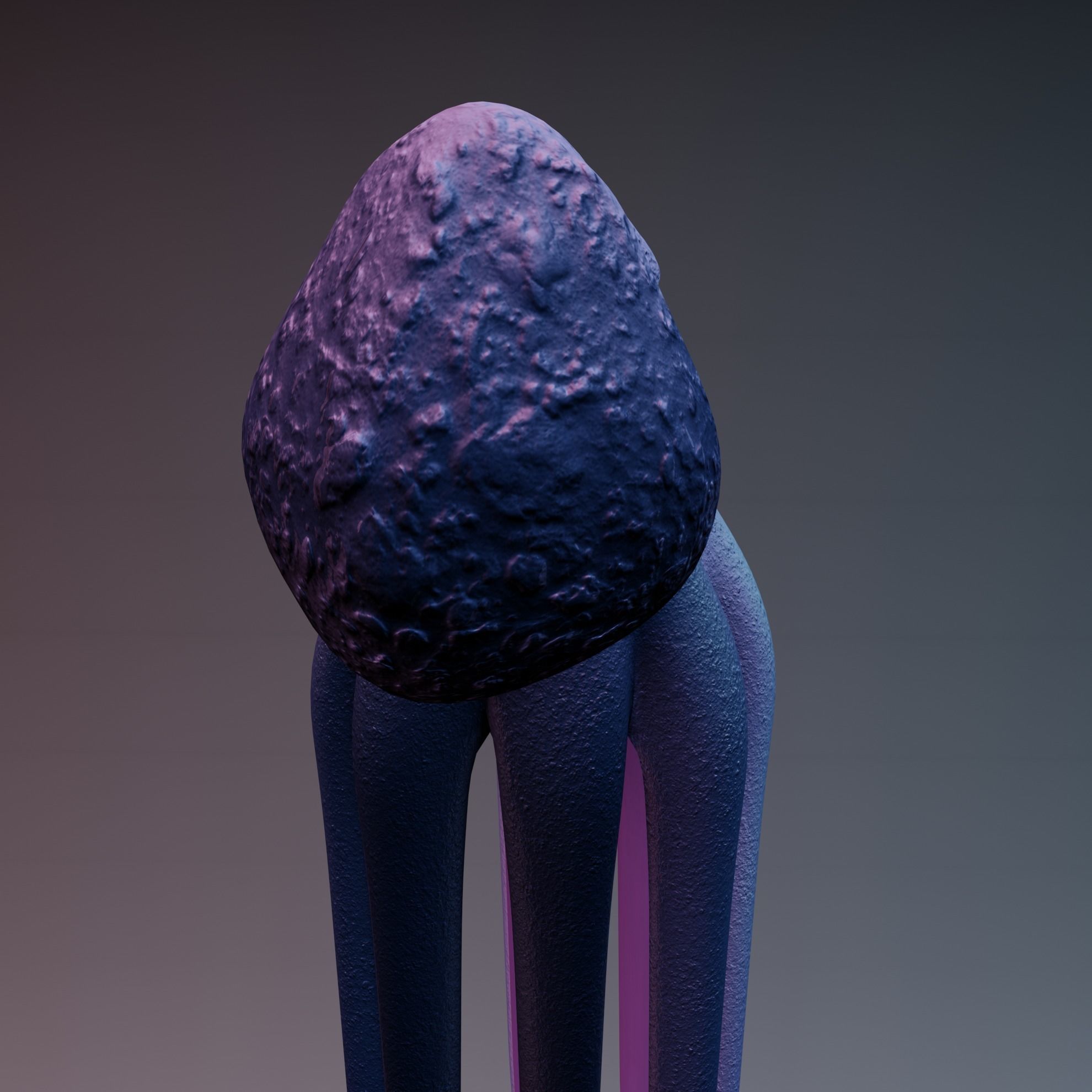 Octopus Low-poly 3D model_36