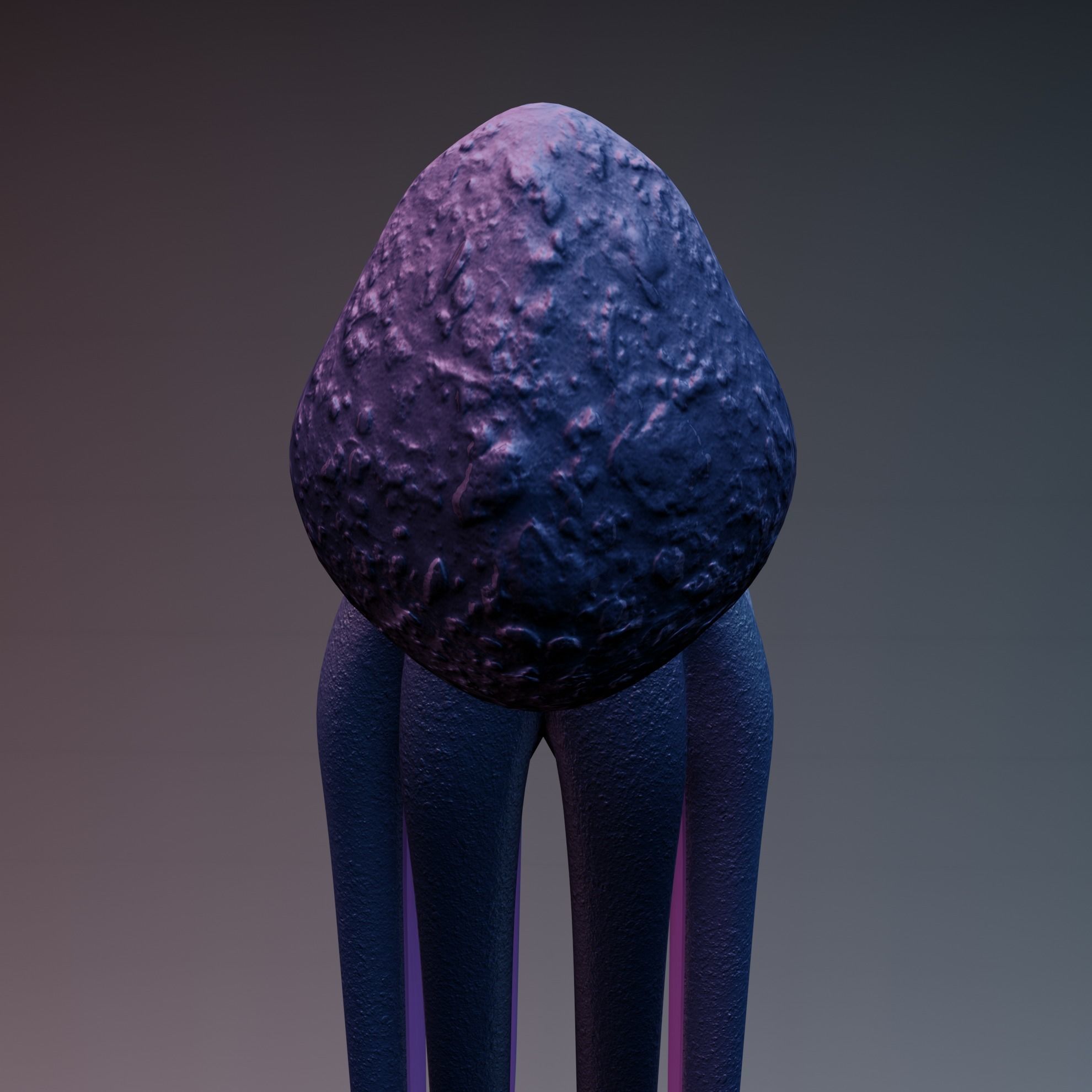 Octopus Low-poly 3D model_37