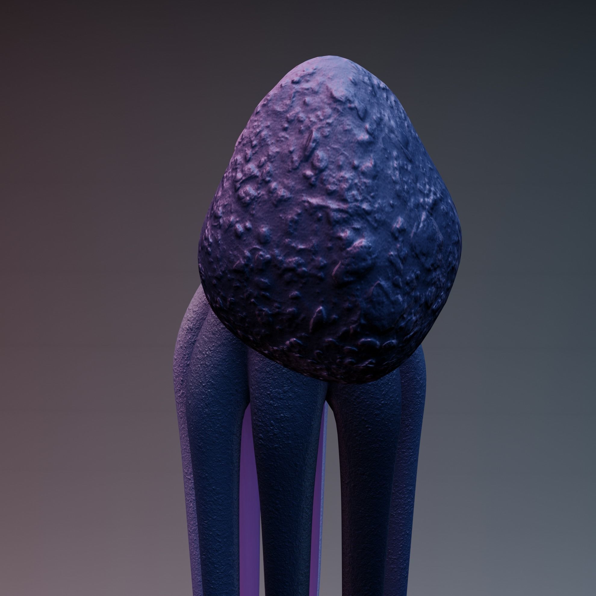 Octopus Low-poly 3D model_38