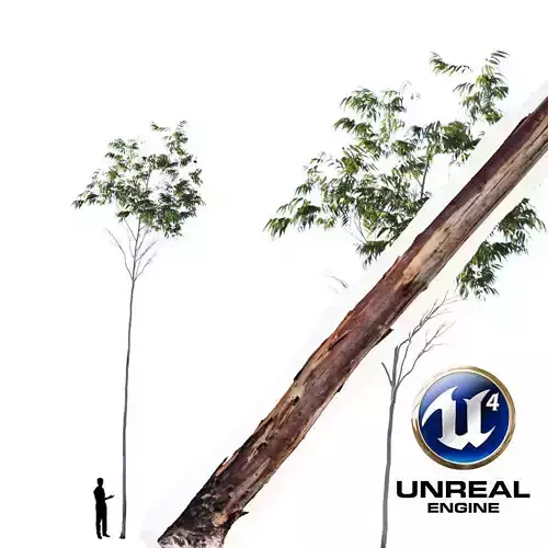 Realistic Tree 08- UE4 Asset and FBX Files Low-poly 3D model