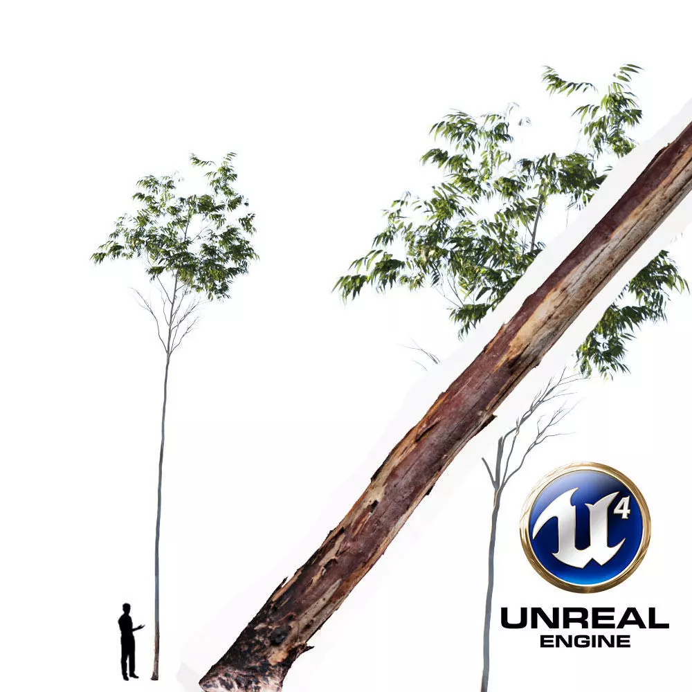 Realistic Tree 08- UE4 Asset and FBX Files Low-poly 3D model Low-poly 3D model_0