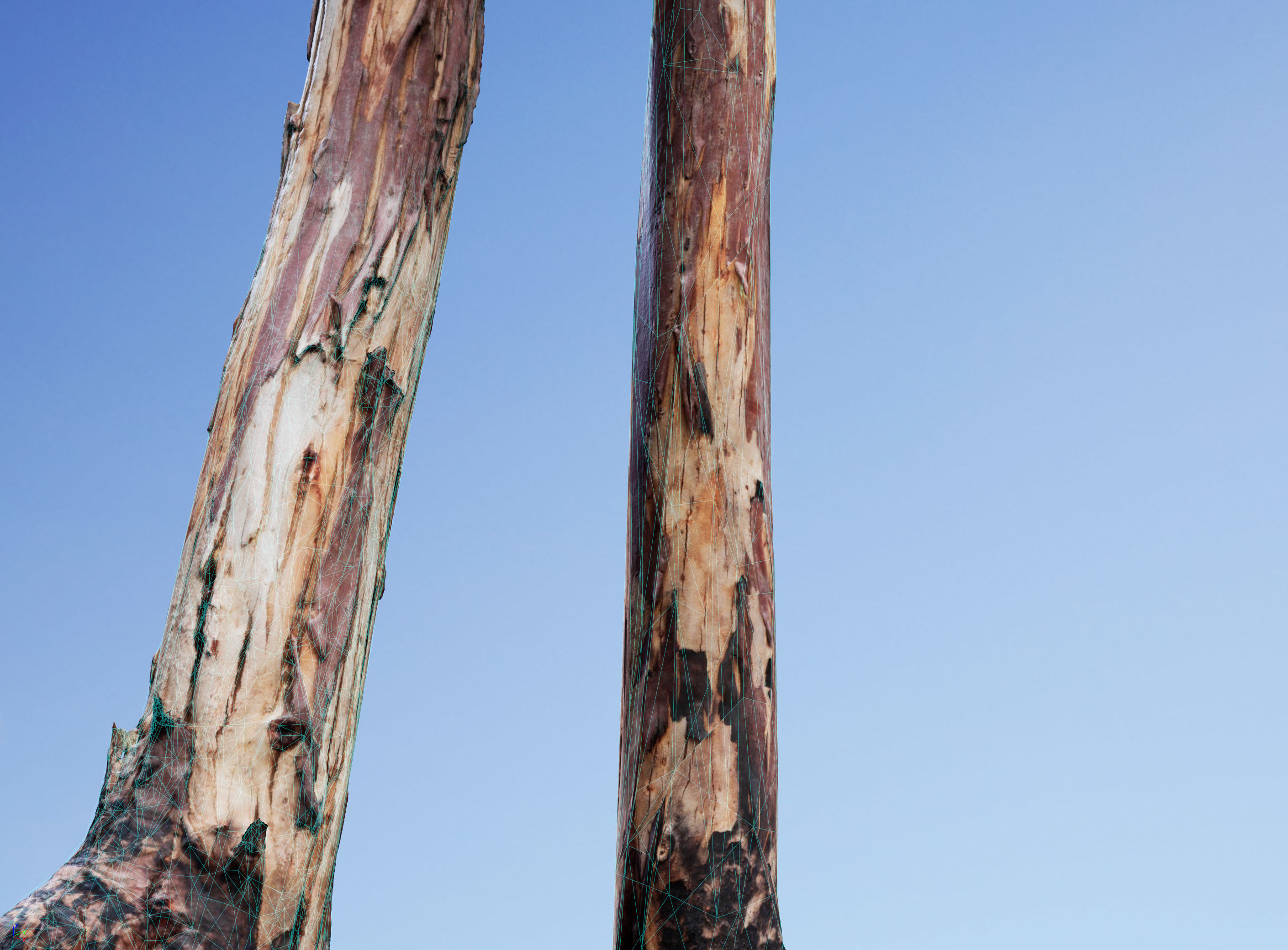 Realistic Tree 08- UE4 Asset and FBX Files Low-poly 3D model Low-poly 3D model_4