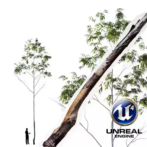 Realistic Tree 09- UE4 Asset and FBX Files Low-poly 3D model