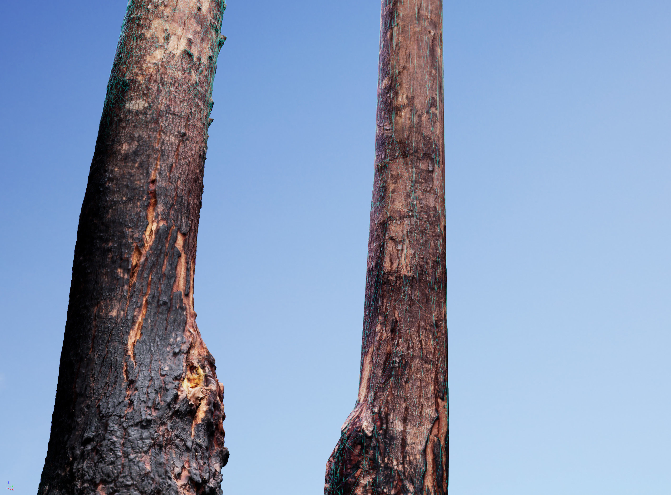 Realistic Tree 10- UE4 Asset and FBX Files Low-poly 3D model Low-poly 3D model_4