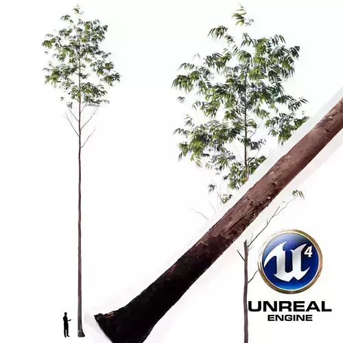 Realistic Tree 10- UE4 Asset and FBX Files Low-poly 3D model