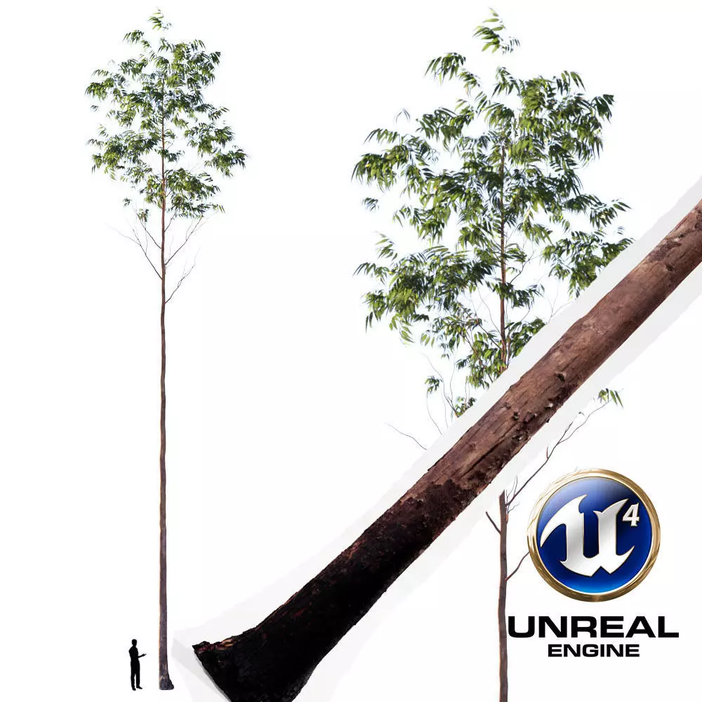 Realistic Tree 10- UE4 Asset and FBX Files Low-poly 3D model Low-poly 3D model_0