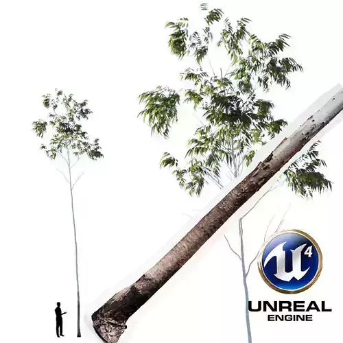 Realistic Tree 11- UE4 Asset and FBX Files Low-poly 3D model