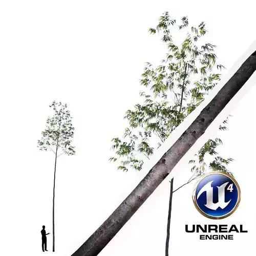 Realistic Tree 12- UE4 Asset and FBX Files Low-poly 3D model Low-poly 3D model