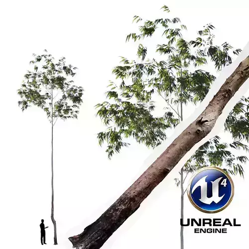 Realistic Tree 13- UE4 Asset and FBX Files Low-poly 3D model