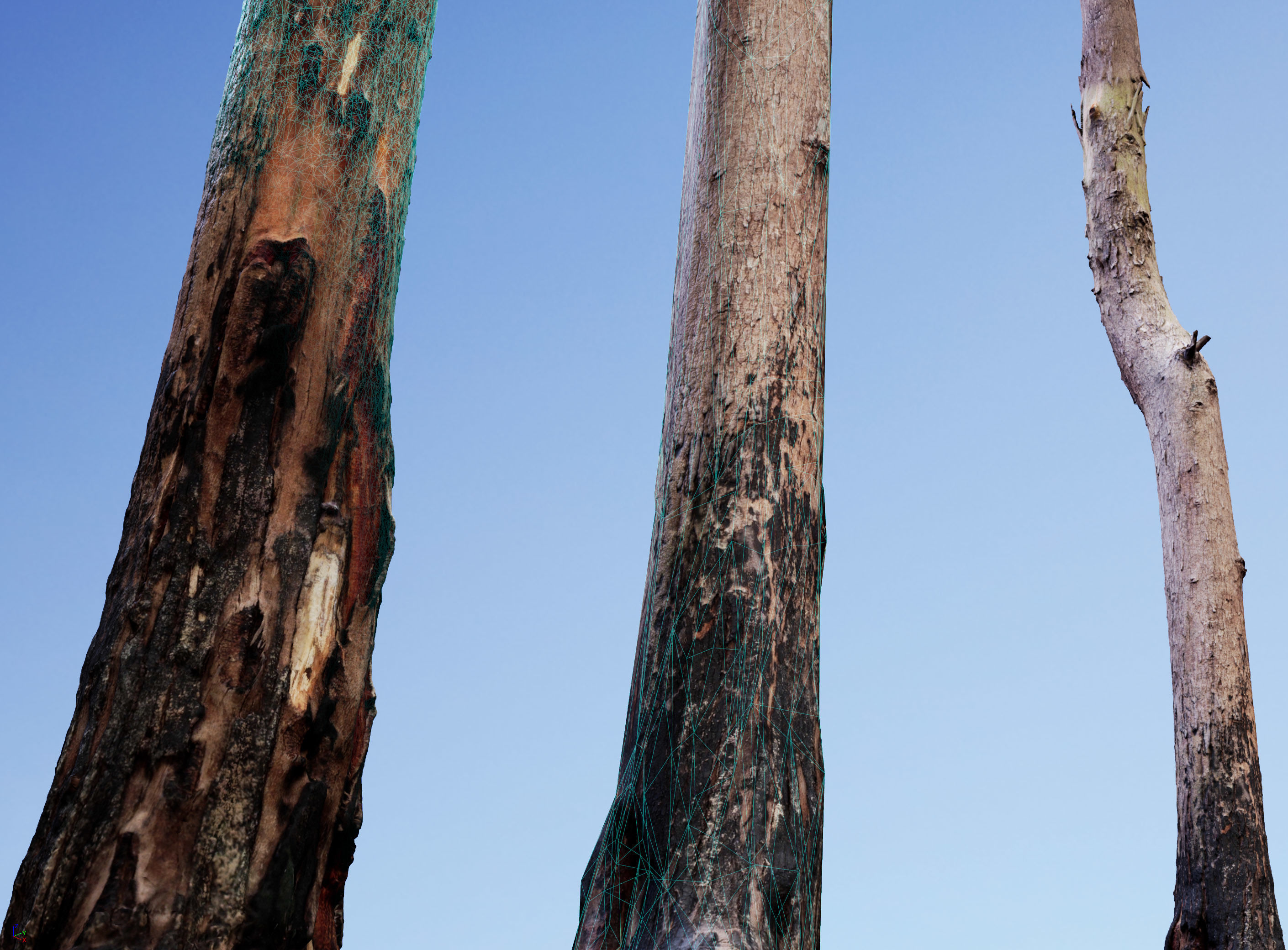 Realistic Tree 13- UE4 Asset and FBX Files Low-poly 3D model Low-poly 3D model_4