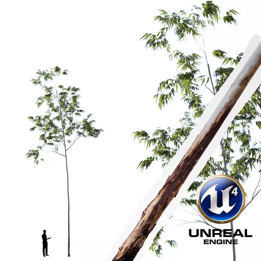 Realistic Tree 14- UE4 Asset and FBX Files Low-poly 3D model Low-poly 3D model_0