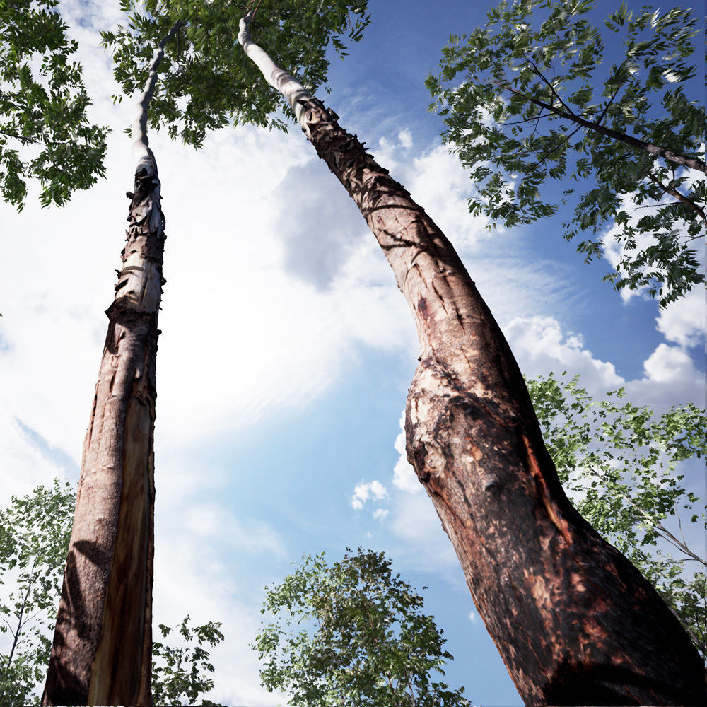 Realistic Tree 15- UE4 Asset and FBX Files Low-poly 3D model Low-poly 3D model_2