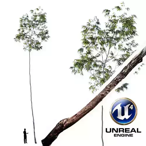 Realistic Tree 15- UE4 Asset and FBX Files Low-poly 3D model