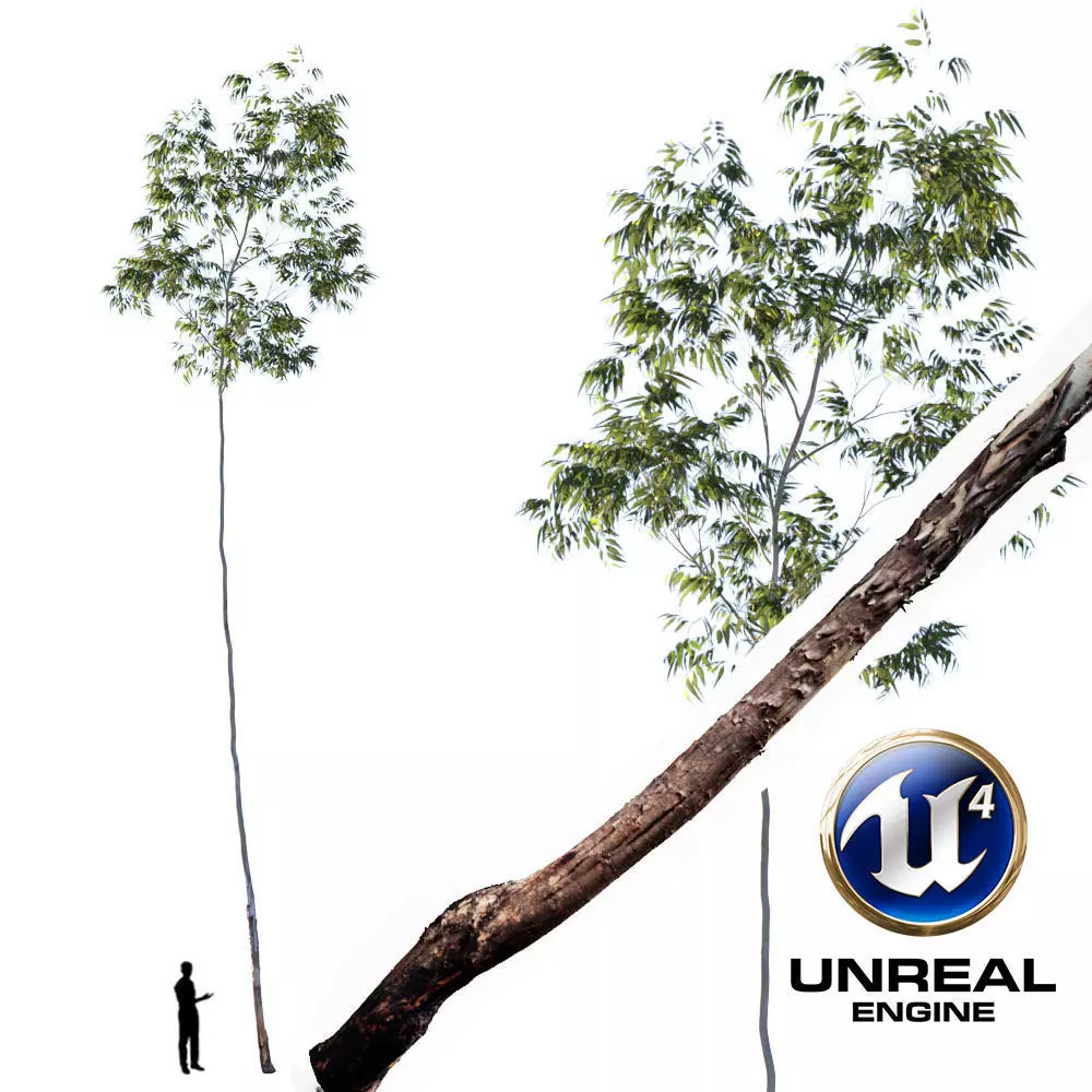 Realistic Tree 15- UE4 Asset and FBX Files Low-poly 3D model Low-poly 3D model_0