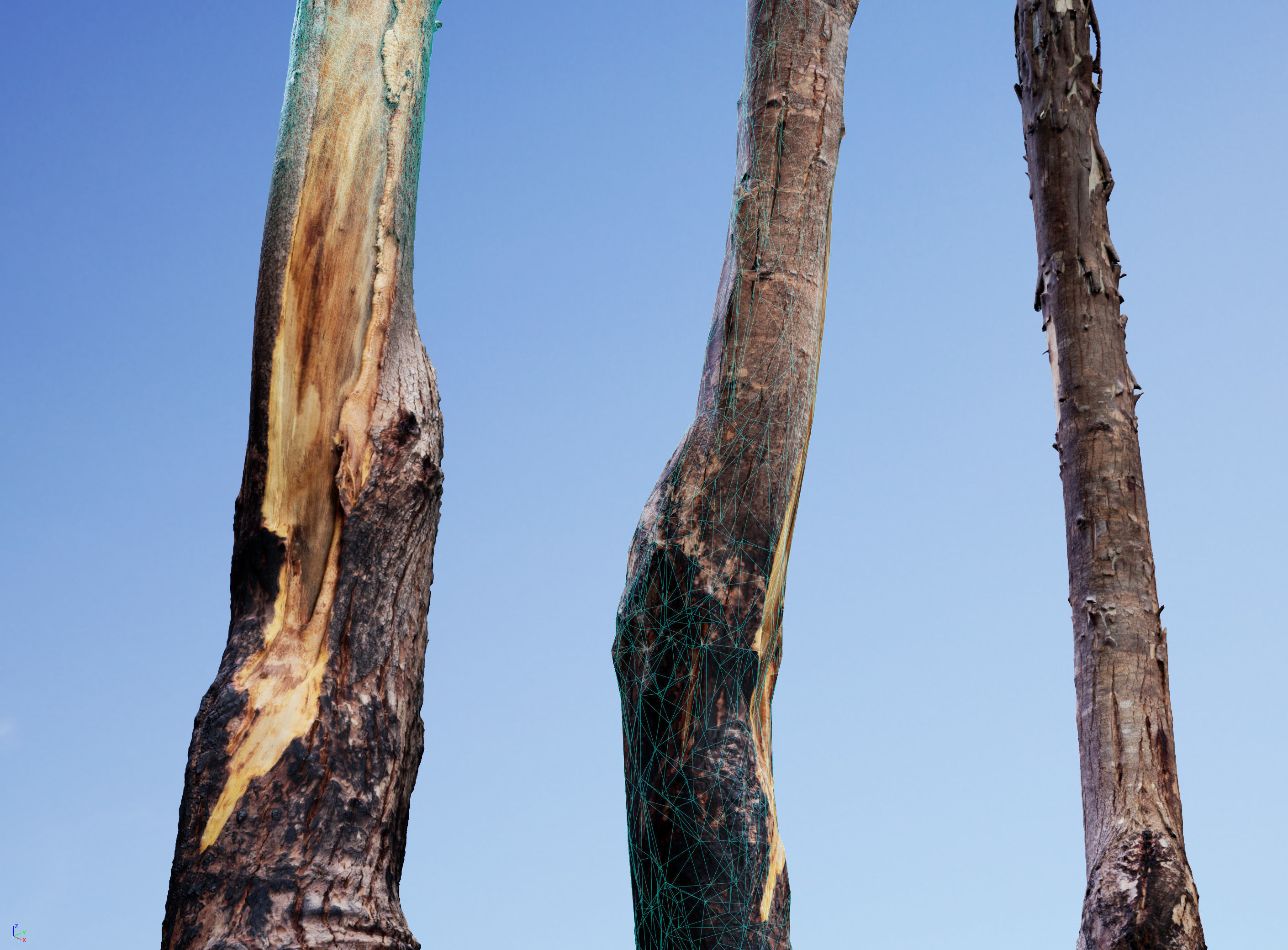 Realistic Tree 15- UE4 Asset and FBX Files Low-poly 3D model Low-poly 3D model_4