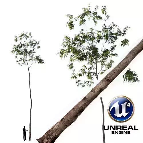 Realistic Tree 16- UE4 Asset and FBX Files Low-poly 3D model