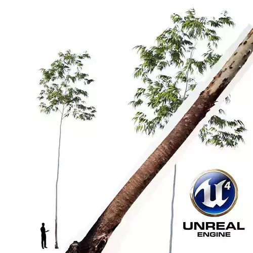 Realistic Tree 17- UE4 Asset and FBX Files Low-poly 3D model