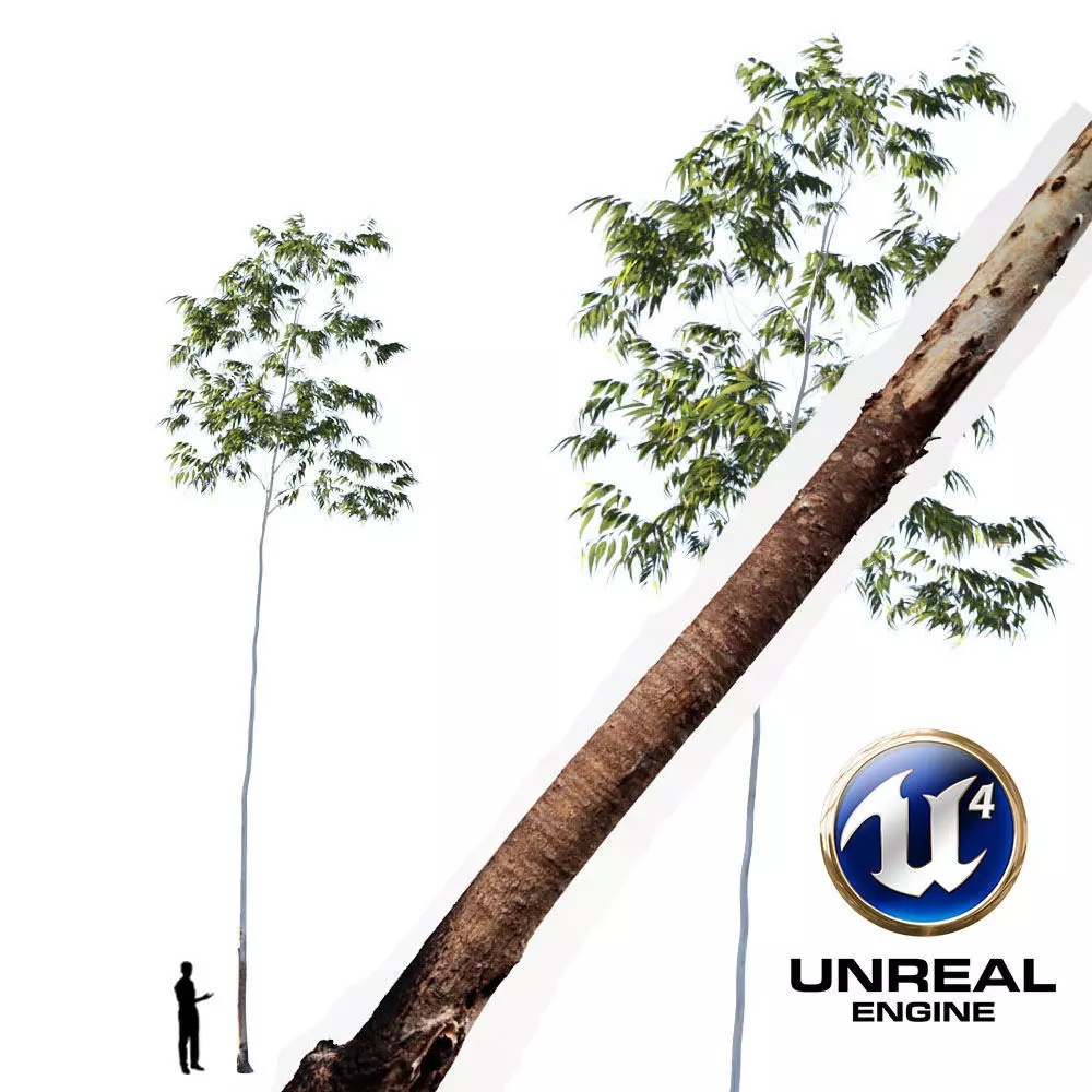 Realistic Tree 17- UE4 Asset and FBX Files Low-poly 3D model Low-poly 3D model_0