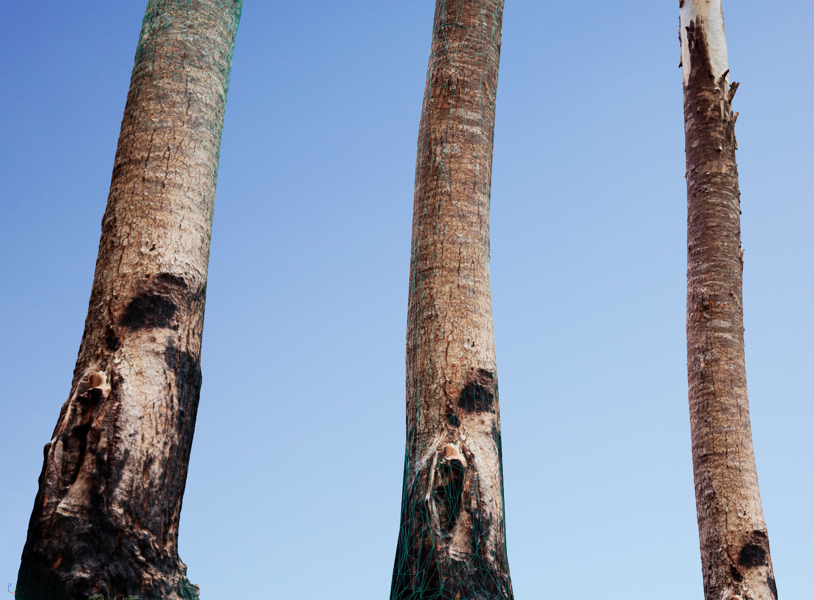 Realistic Tree 17- UE4 Asset and FBX Files Low-poly 3D model Low-poly 3D model_4