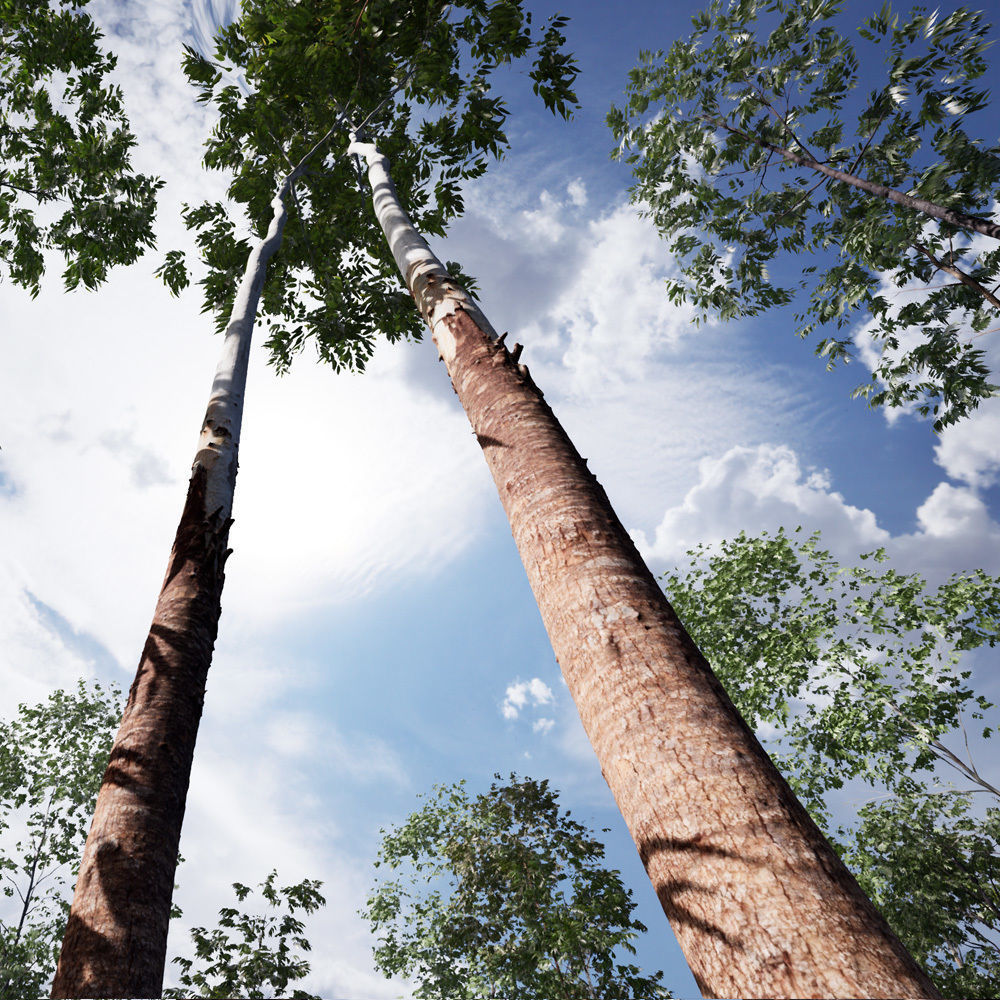 Realistic Tree 17- UE4 Asset and FBX Files Low-poly 3D model Low-poly 3D model_2