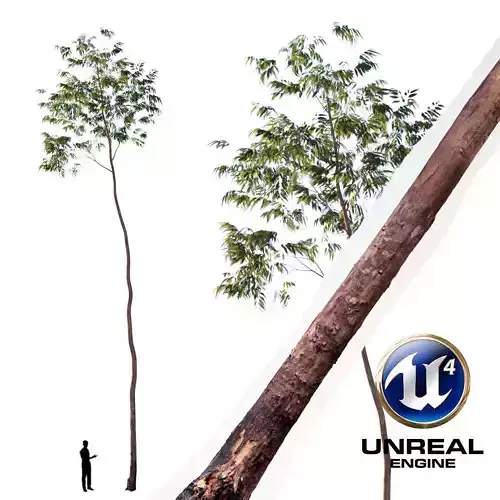 Realistic Tree18- UE4 Asset and FBX Files Low-poly 3D model