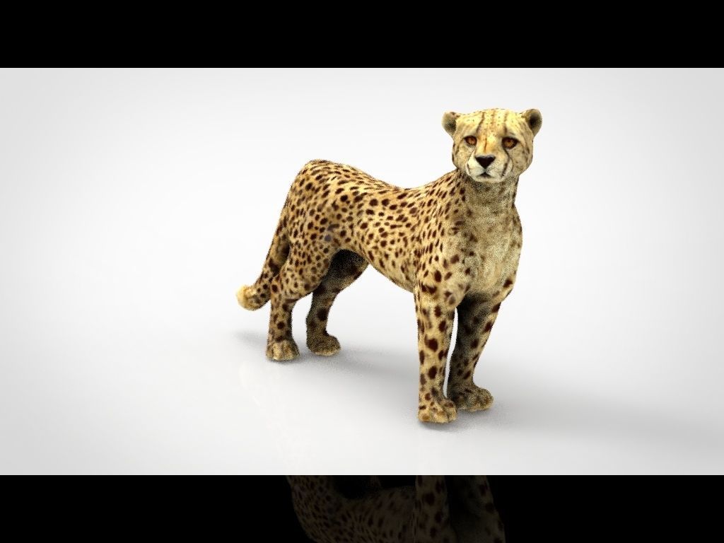 CHEETAH Low-poly 3D model_3