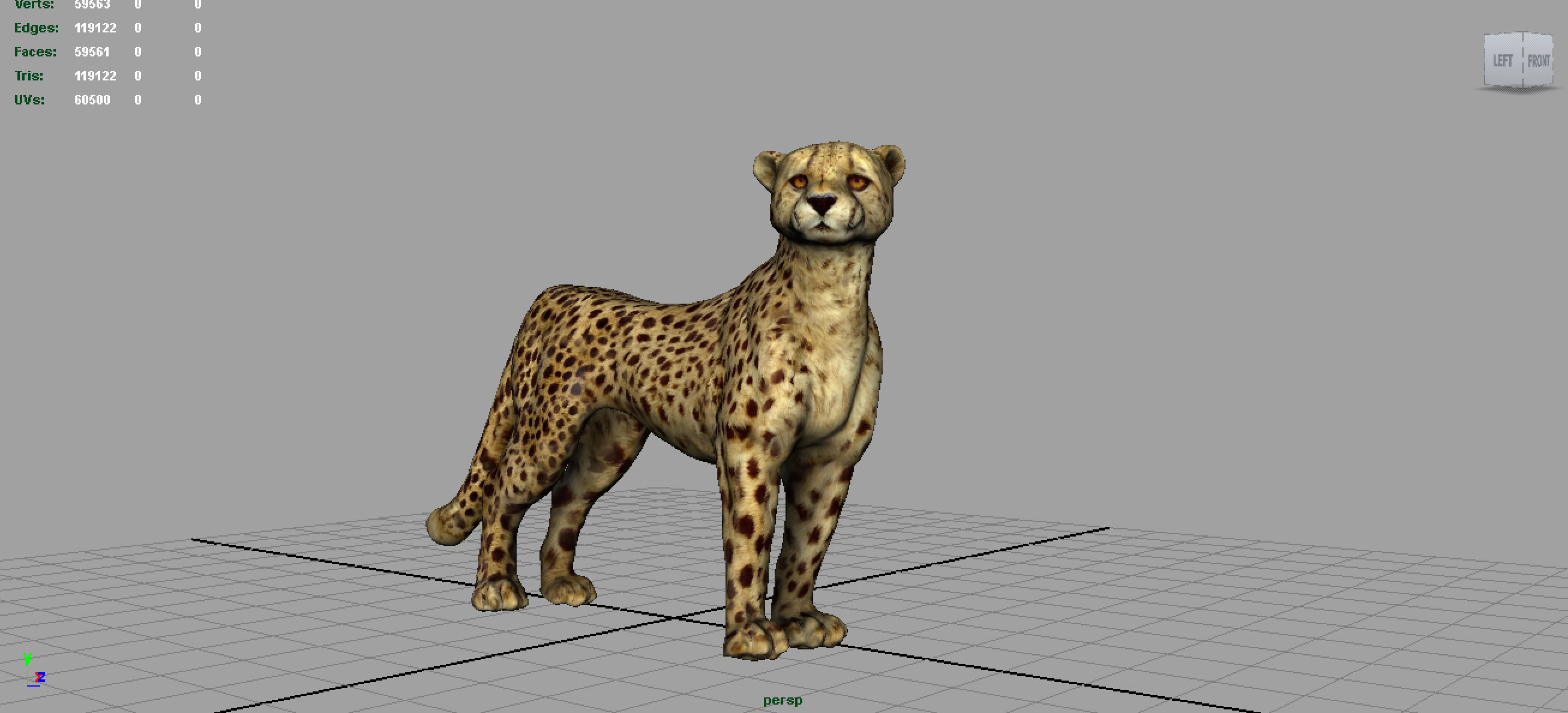 CHEETAH Low-poly 3D model_4