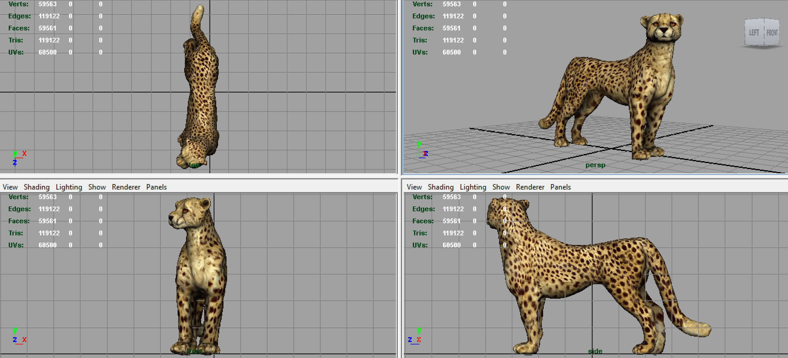 CHEETAH Low-poly 3D model_7