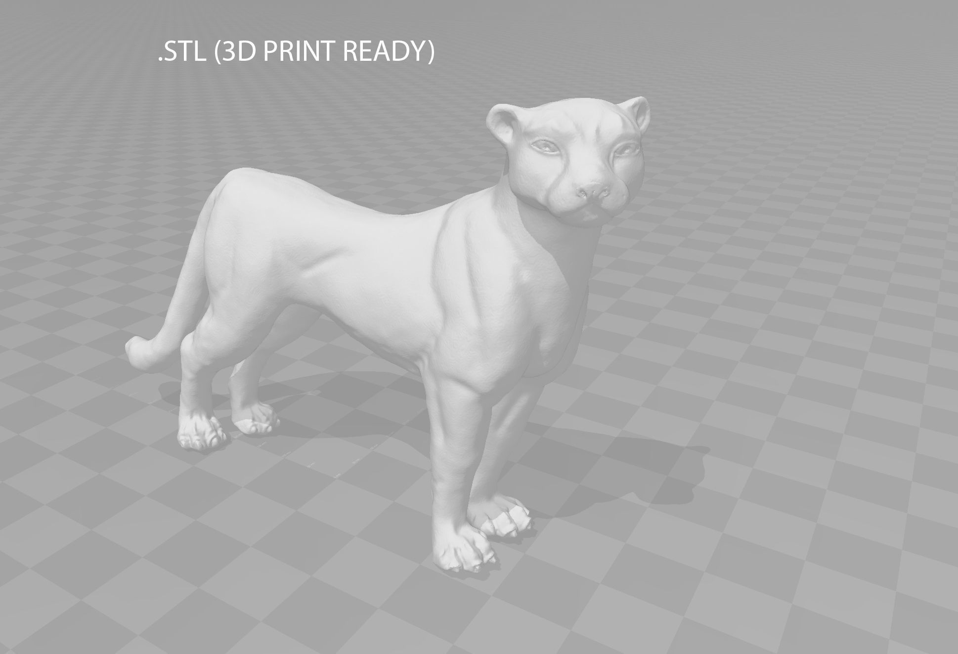 CHEETAH Low-poly 3D model_12