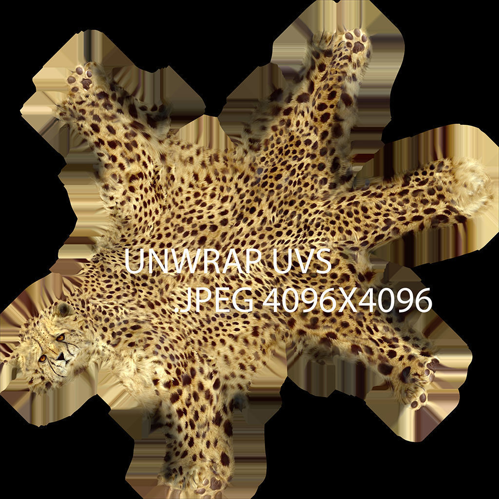 CHEETAH Low-poly 3D model_11